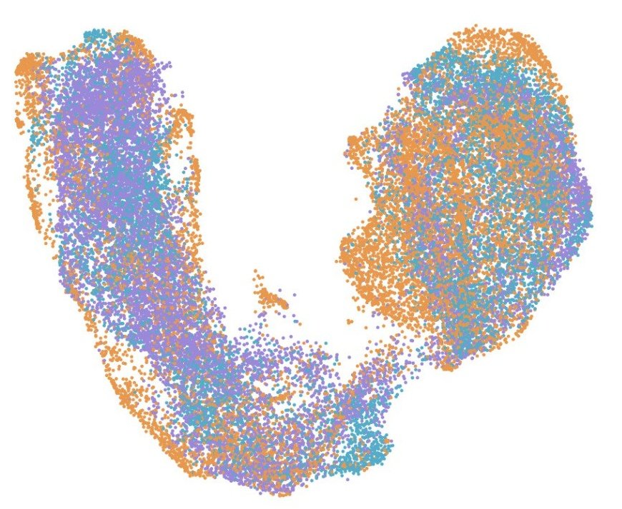 Three species, same data, same orthologs, two cookings.
So, reality is really a matter of choice I guess :S.
Why do we use only orthologs anyway to integrate? Aren't they supposed to have conserved functions? How much does their expression really diverge?