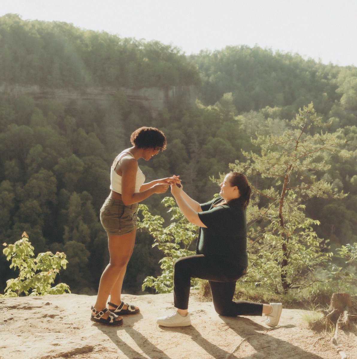 Abigail Fischbach tweet media