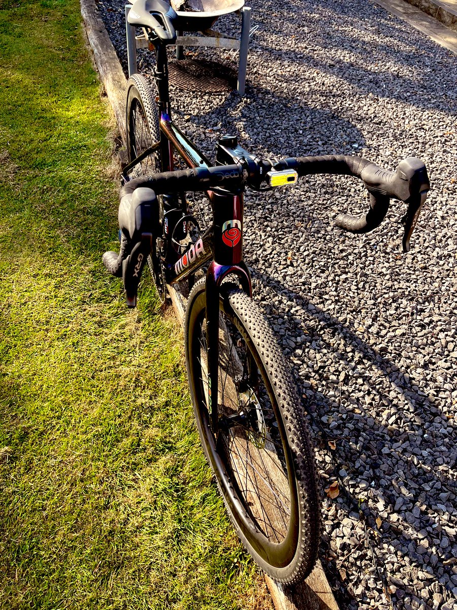 Will Sergeant tweet media