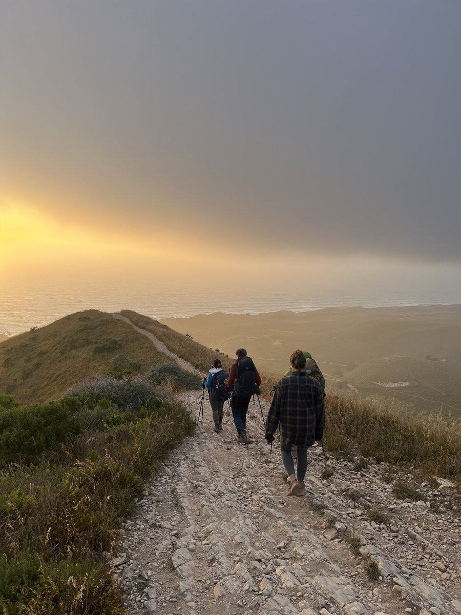 spazzkar1ee's tweet photo. Sunset Hike 🏔️ 

📍Valencia Peak Montana De Oro State Park https://t.co/emdU643KyB
