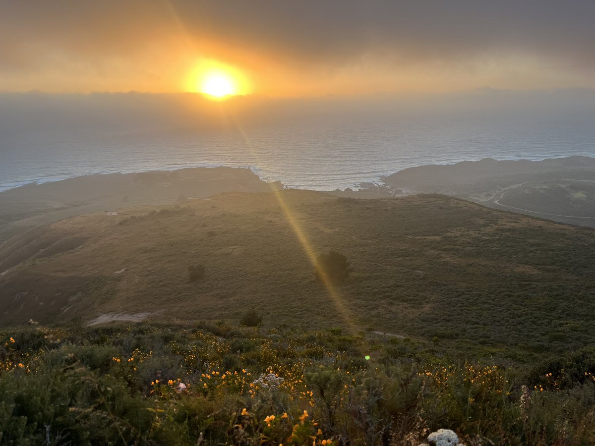spazzkar1ee's tweet photo. Sunset Hike 🏔️ 

📍Valencia Peak Montana De Oro State Park https://t.co/emdU643KyB