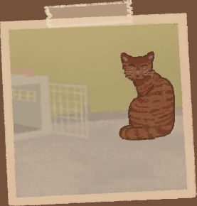 KittyCornerVN's tweet photo. Which cat do you think is causing most mischief in the café?

Petals, Freddy, Pistachio, or Violet~
#CozyGames #visualnovel https://t.co/w3yrbx3tzj