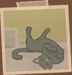 KittyCornerVN's tweet photo. Which cat do you think is causing most mischief in the café?

Petals, Freddy, Pistachio, or Violet~
#CozyGames #visualnovel https://t.co/w3yrbx3tzj