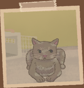 KittyCornerVN's tweet photo. Which cat do you think is causing most mischief in the café?

Petals, Freddy, Pistachio, or Violet~
#CozyGames #visualnovel https://t.co/w3yrbx3tzj