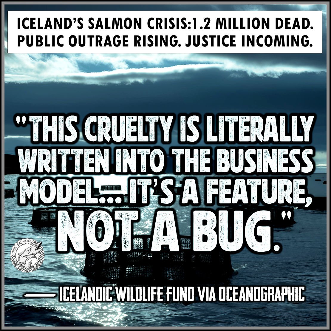Trouble for salmon farmers is brewing in Iceland. 
oceanographicmagazine.com/news/severe-mo…