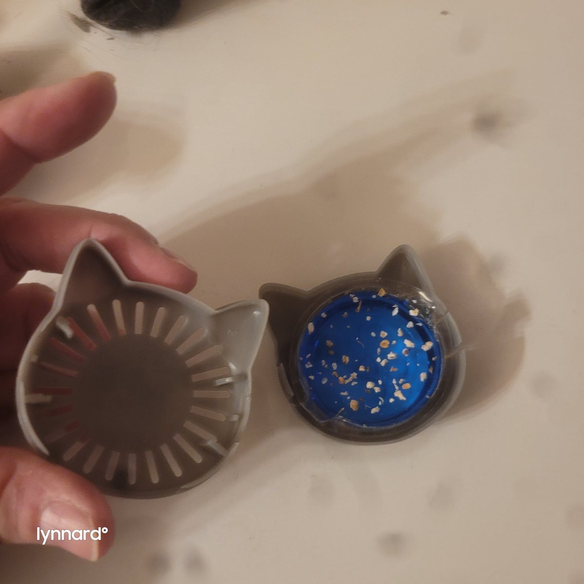 🐾💗Angel Edgar Allan Poe's Family💗🐾 tweet media