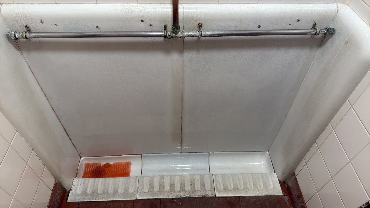 There’s something inately beautiful about this toilet