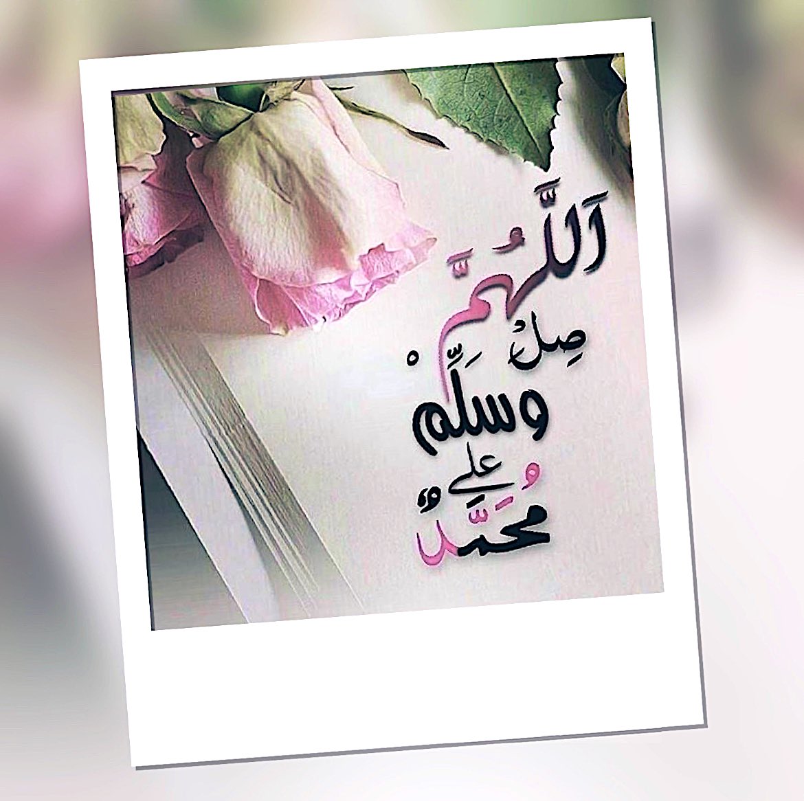الأمل ࿐ ♡ tweet media