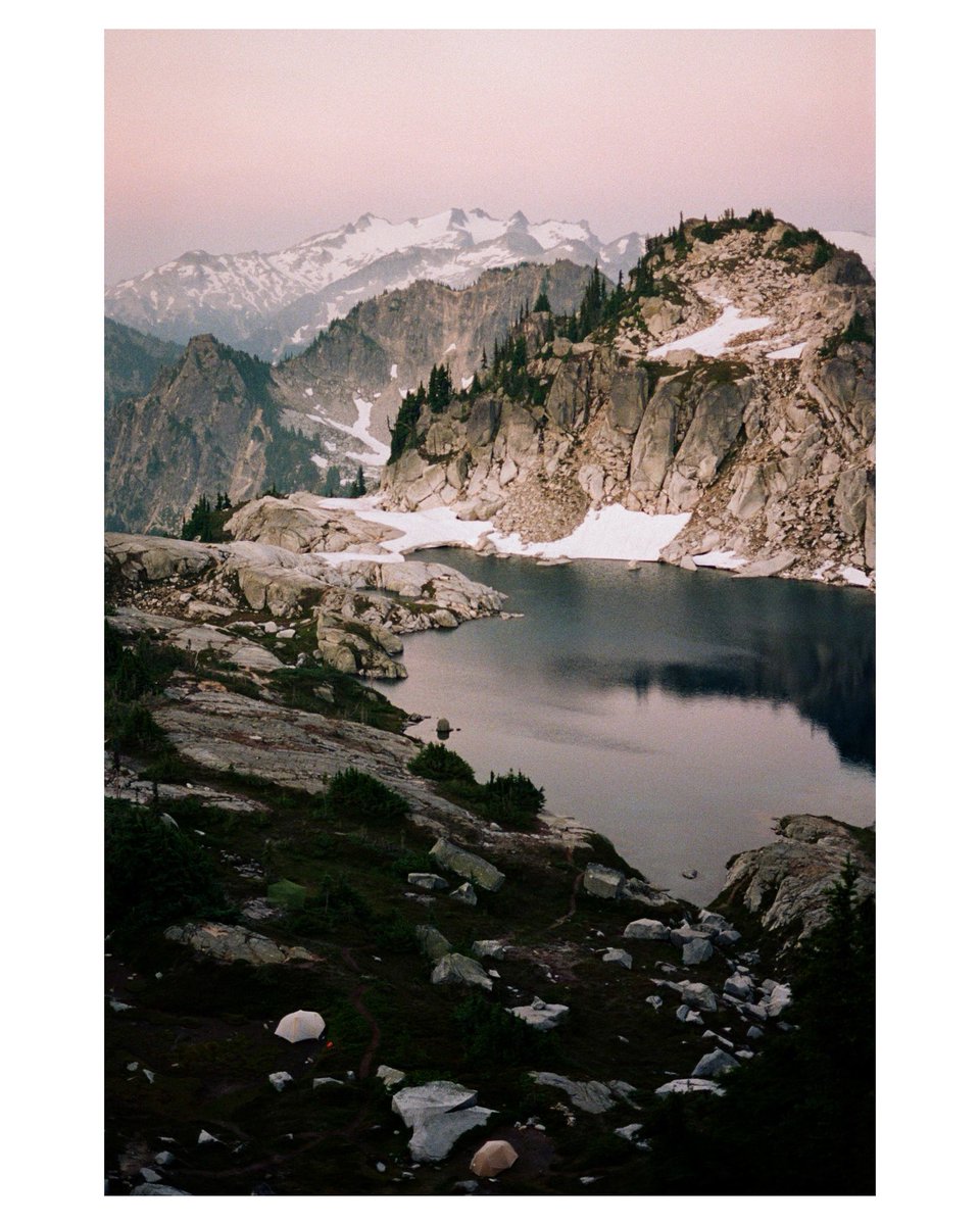 forestoutside's tweet image. Lomo 800