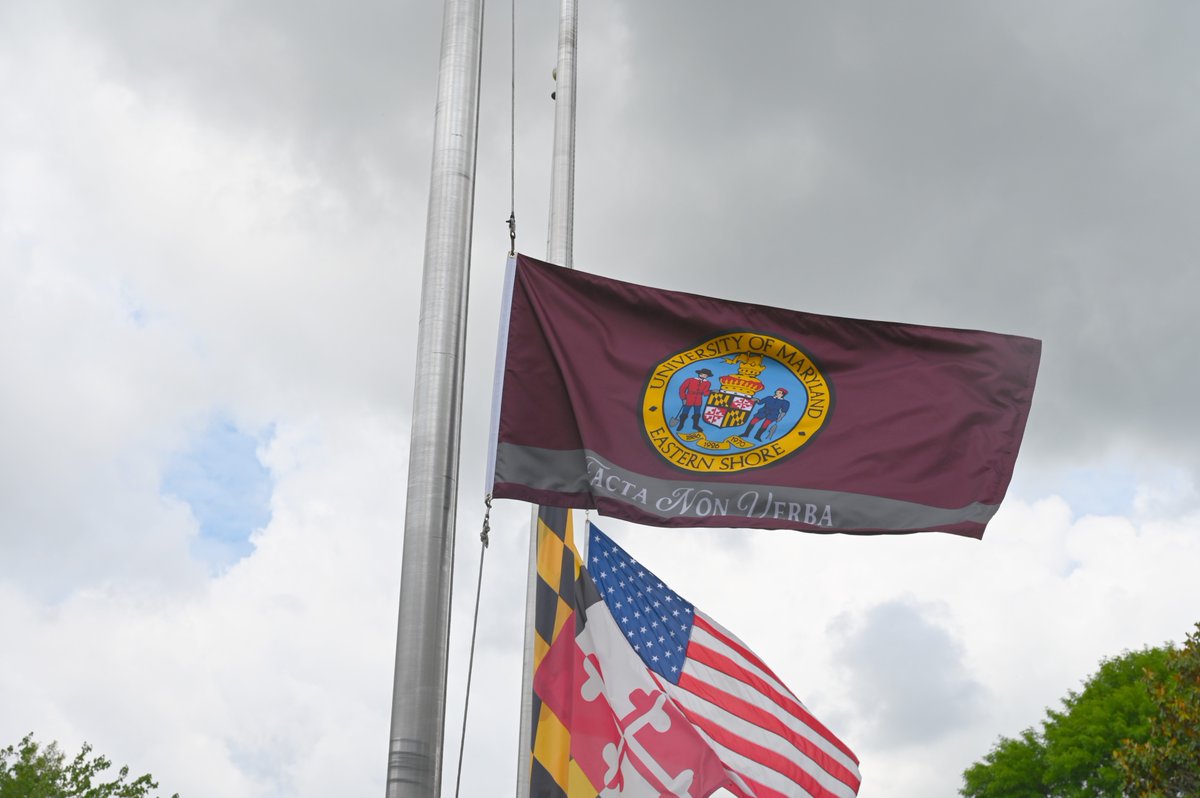 Today, UMES raised the new University of Maryland Easter Shore flag, proudly bearing our shared motto: Facta Non Verba — Deeds, Not Words. A symbol of our continued commitment to excellence through action! 

#UMES #FactsNonVerba #HawkPride