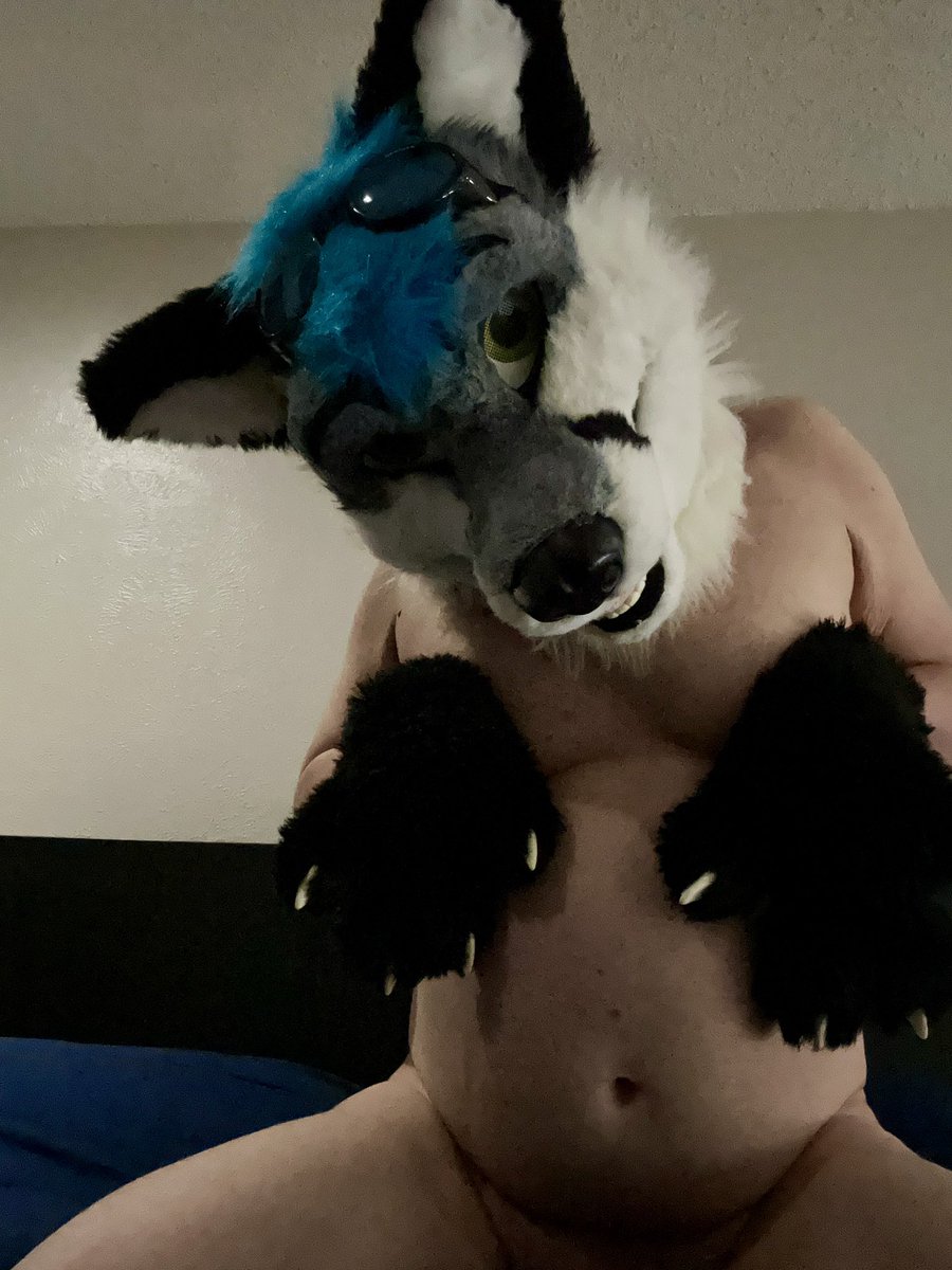 It has been a very long time since I’ve posted anything on here.  Decided to take a few cute photos today. 💙
