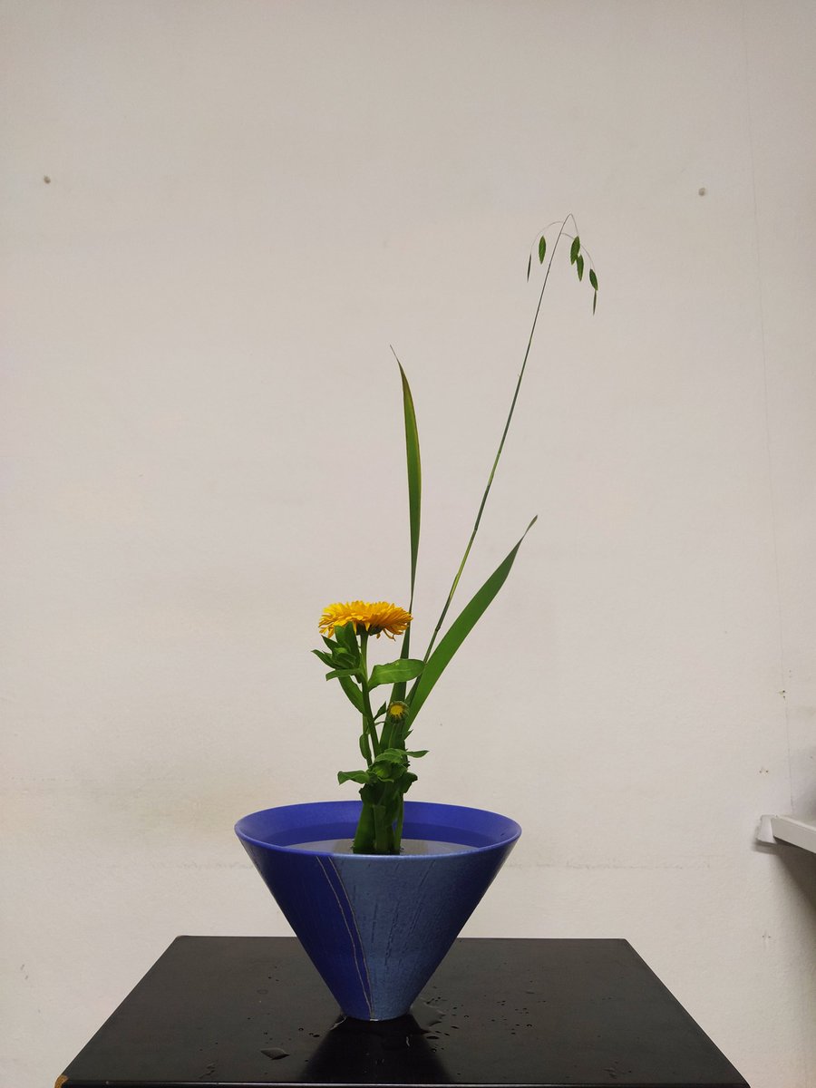 今日の私の生け花 です。#生花 
#新風体連瓶 <a href="/ikenobo550/">いけばな池坊【公式】</a> <a href="/shiranmaki/">紫蘭まき</a> <a href="/Carmen_Lomana/">Carmen Lomana</a>
<a href="/asanact/">Antonia San Juan</a> <a href="/rossydpalma/">rossydepalma</a> <a href="/BisilaBokoko/">Bisila Bokoko</a>
<a href="/FIONAFERRER/">Fiona Ferrer-Leoni</a>