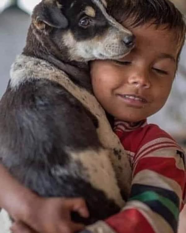 Enseñar a las niñas y niños a respetar a todos los seres sintientes, es sembrar una semilla que germinará como armonía social.

💜💜🐶🐾
#AdoptaUnOceanican