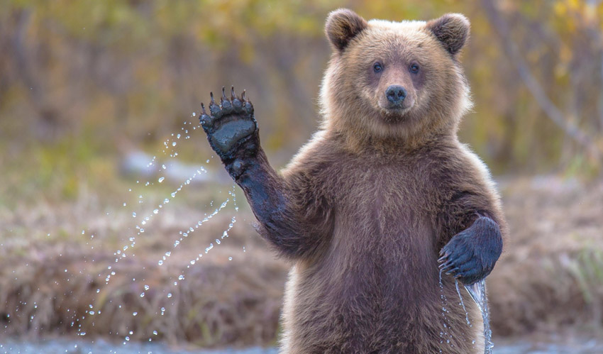 hamidyprod's tweet photo. The #BTC correction was enough to incline traders to bearish sentiment once again. Markets tend to move against the crowd's expectations https://t.co/EDZmioEWL8