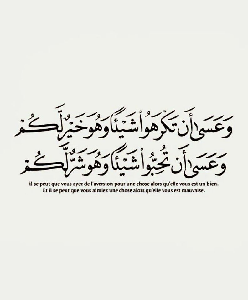 رسائل tweet media