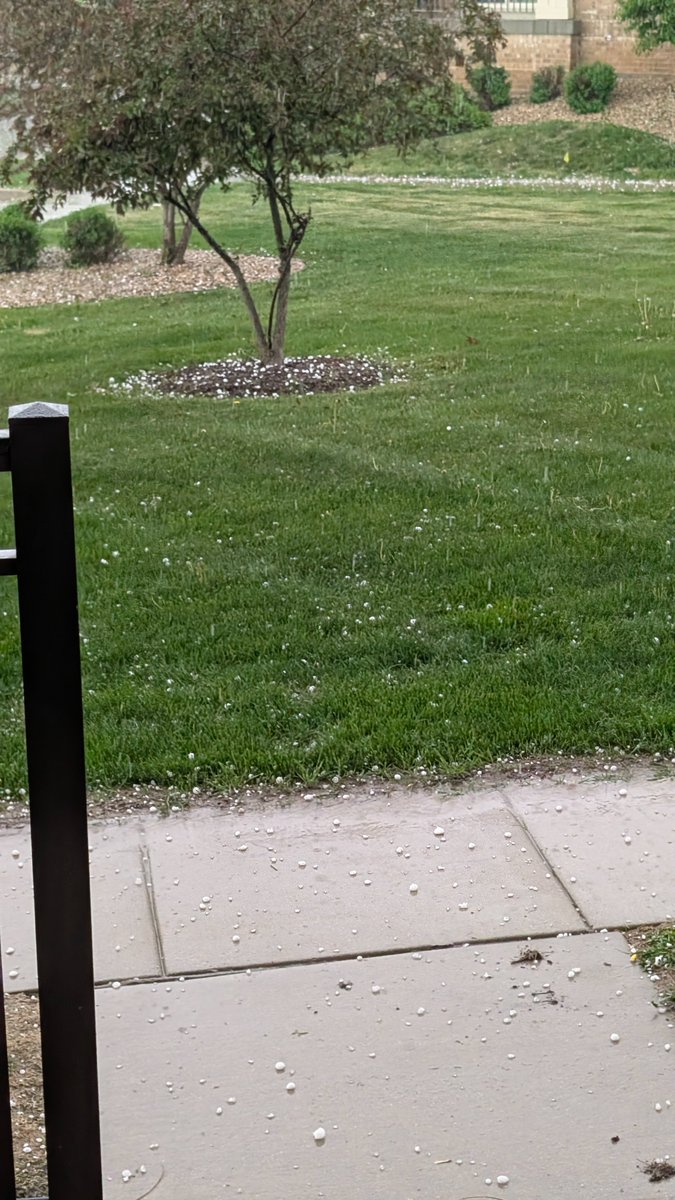 HypnosProjectHQ's tweet photo. @MaxVelocityWX @NWSMilwaukee quarter and ping-pong size hail on the far northeast side of Madison, WI. https://t.co/Un5qvL7IvW