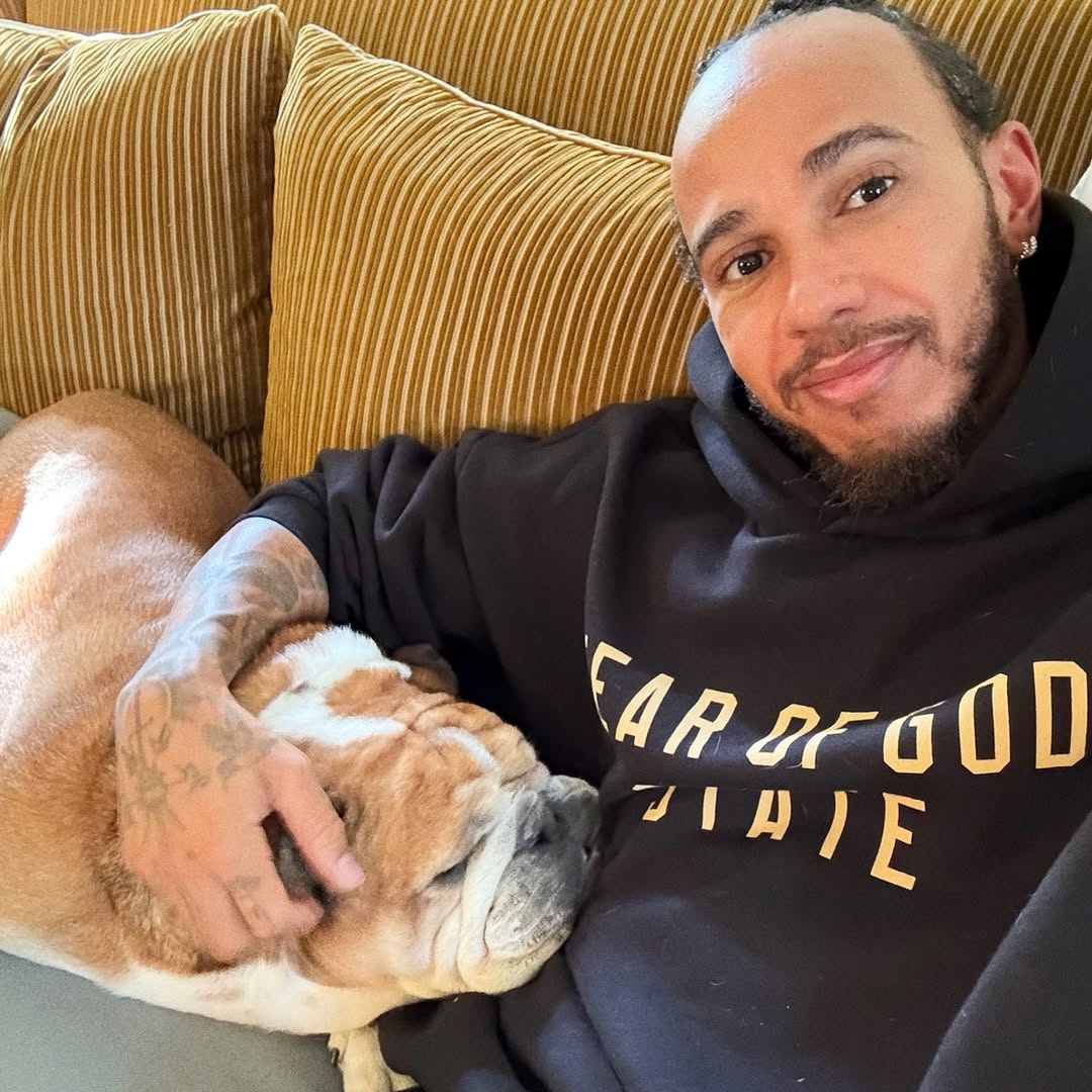 TearOffFR's tweet image. 🔴 Lewis Hamilton donne des nouvelles positives de son chien, Roscoe, ayant été malade ces derniers temps ! 🙏

💬 "Il a 12 ans et demi, donc c’est un vieux chien. Il a eu une pneumonie. Mais heureusement, il va bien maintenant. Il fut un temps où, lorsque je recevais un message…