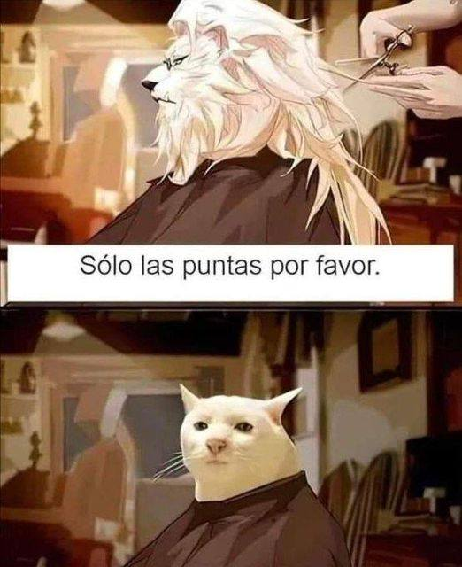 BujanTecno's tweet photo. jajajajajajajajaja https://t.co/UplG8zg5v4