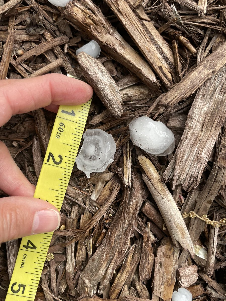 Thank you <a href="/NWSMilwaukee/">NWS Milwaukee</a>!  Was able to get some things indoors before this one went through. These hail stones fell at about 4:05 pm and were between 1.00-1.25 in near Chicory Meadow park in Fitchburg