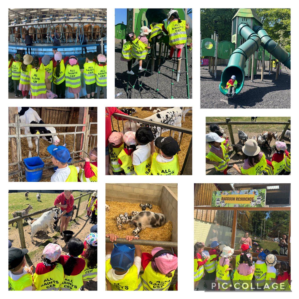 AllSaintsCEFarnworth (@allsaintsceprim) on Twitter photo Reception had such a fab experience <a href="/Smithillsfarm/">Smithills Open Farm</a> today! Thankyou Fran for being a great host, and for teaching us lots about the farm animals πππ« π #amazingallsaints #fabschooltrip Reception had such a fab experience <a href="/Smithillsfarm/">Smithills Open Farm</a> today! Thankyou Fran for being a great host, and for teaching us lots about the farm animals πππ« π #amazingallsaints #fabschooltrip