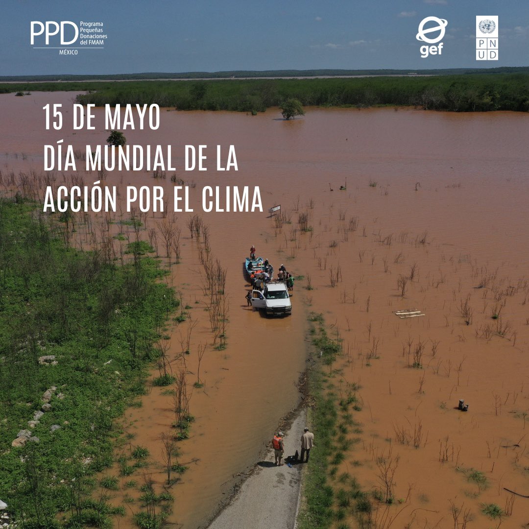 PPD México tweet media