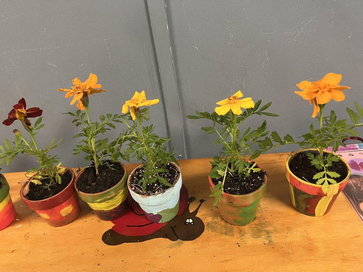 Madame Day tweet media