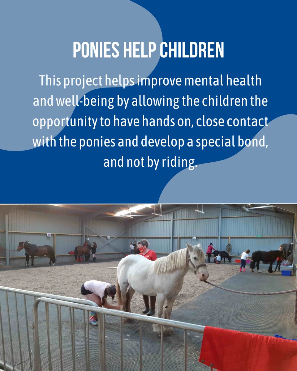 🧠🌱 As Mental Health Awareness week is upon us, we are proud to show a few of our projects and initiatives that help boots the mental wellbeing of those who need it most! 🌱🧠

#MentalHealthAwareness #HelpingKidsThroughRugby #TacklingDisadvantage