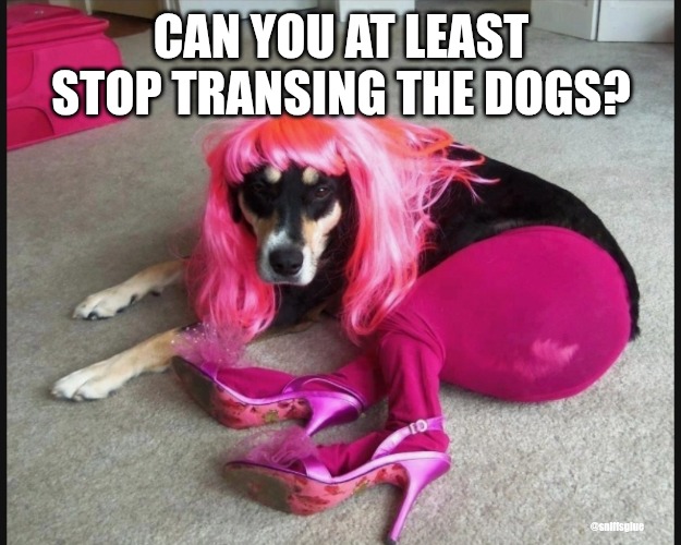 Bob (@sniffsglue) on Twitter photo 