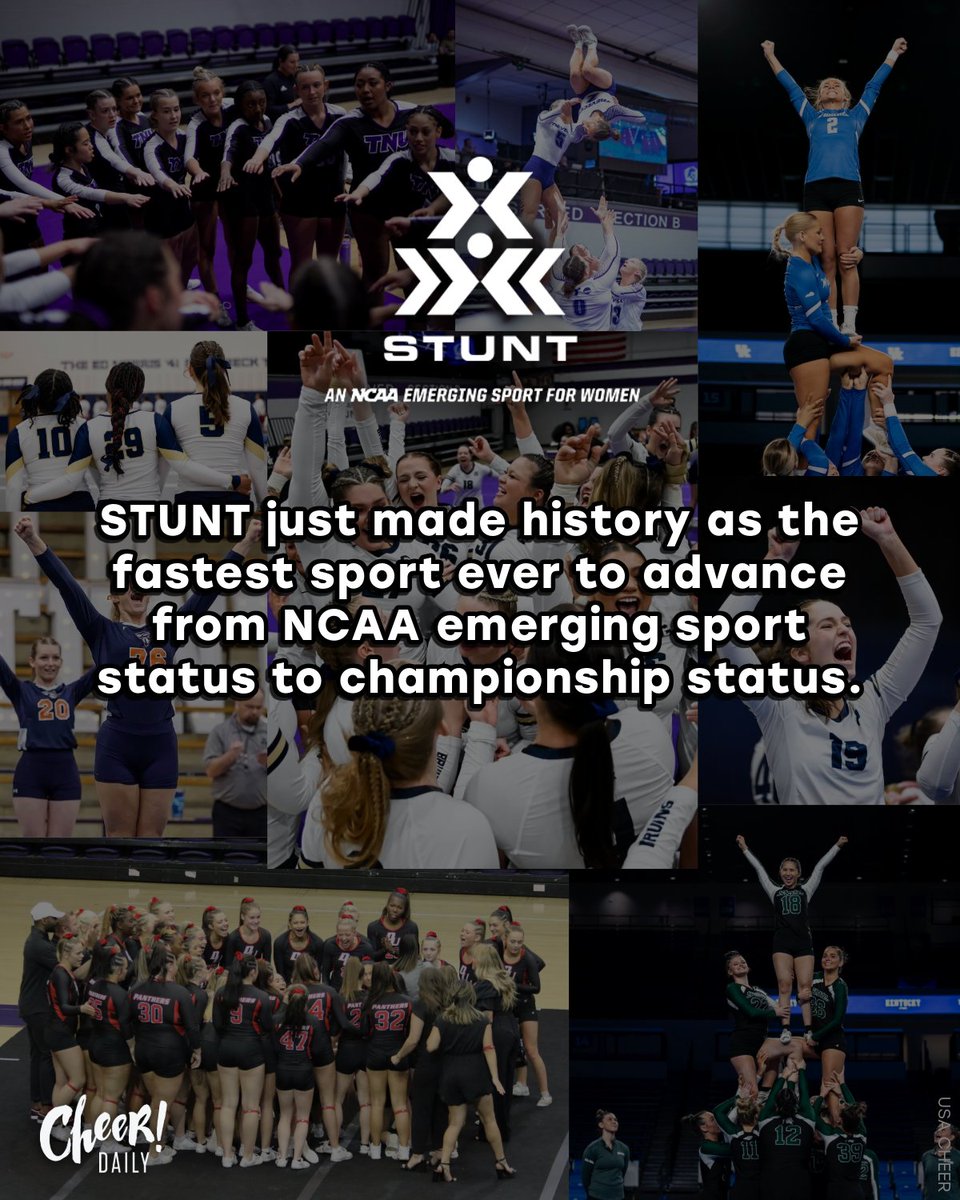 Cheer Daily tweet media