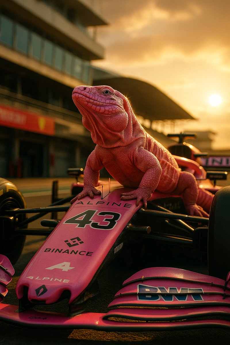 LaMagaiba's tweet photo. MAGAIBA doesn’t fear the race—he prepares for it.
Every bolt, every detail, every second counts.
We’re not waiting for the future—we’re building it.
ESTÁ LOCA LA MAGAIBA!
#ColapintoToF1In2025 #MAGAIBA #SoGentleSoGood #F1
@magaibasogentle @FranColapinto @AlpineF1Team https://t.co/MNn0iq9NTO