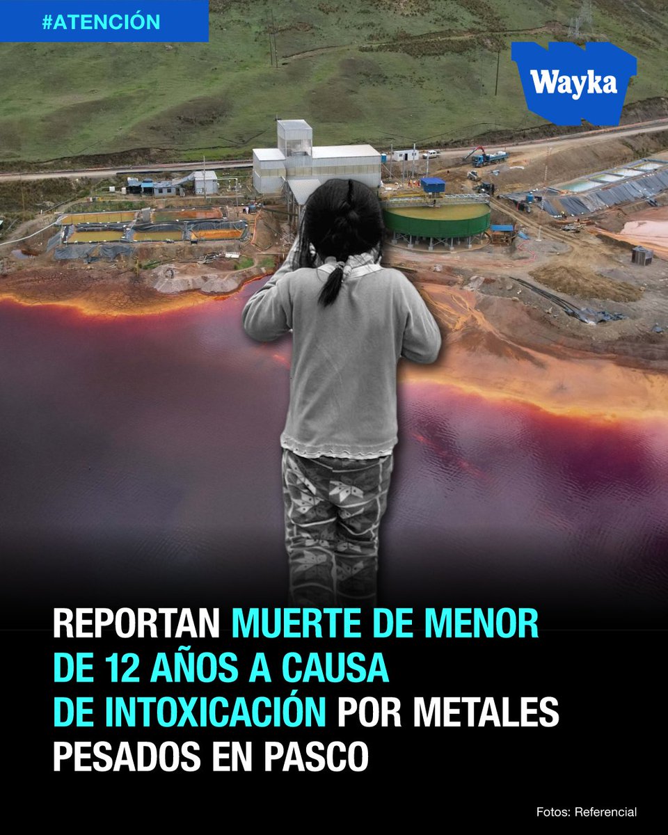 ⚠️La Plataforma Nacional de Afectados por Metales Tóxicos informó el fallecimiento de una menor de 12 años de iniciales Z. C. T. tras padecer una grave afectación a su salud a causa de la intoxicación por metales pesados generados por la actividad minera en Pasco.

En el año