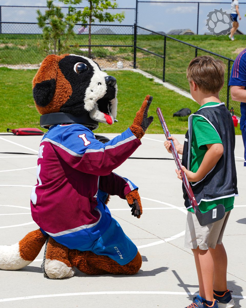 AvsBernie's tweet image. Had a fur-tastic day kicking off summer with students from Highlands Elementary!
Yesterday, we celebrated the top participating school of the Hockey 101 program with a hockey-based field day.