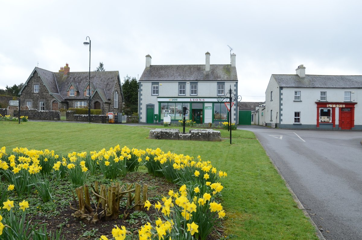 Liam Farrell tweet media