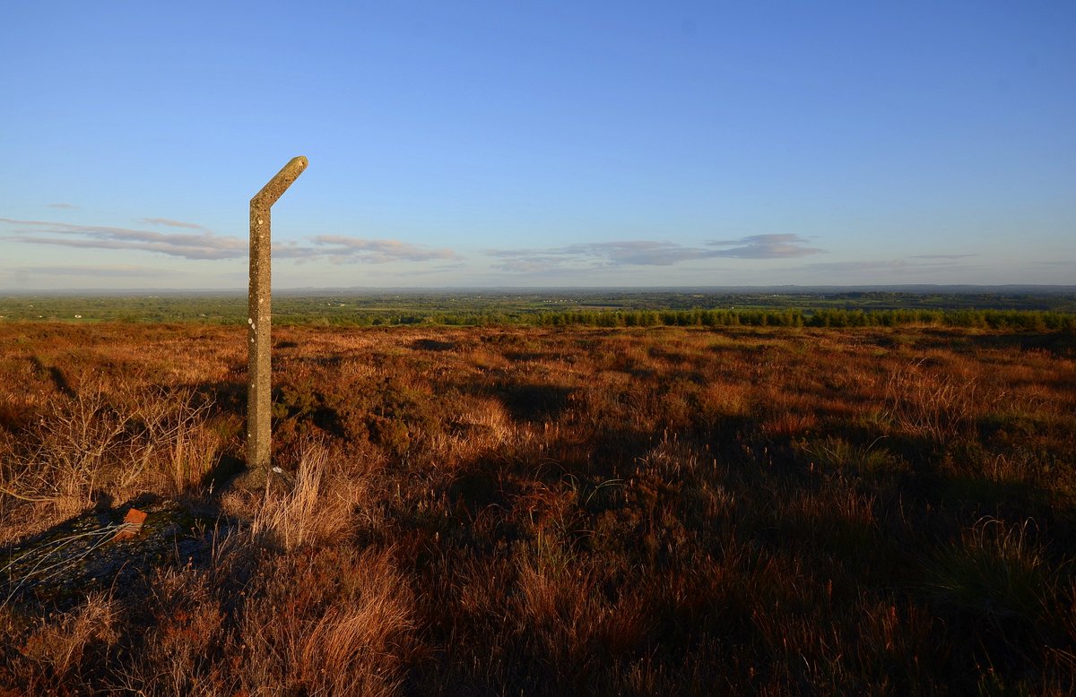 Liam Farrell tweet media