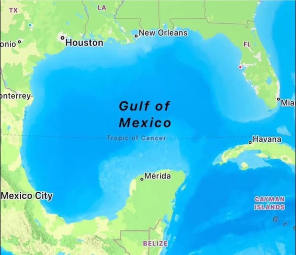 James Tate tweet media