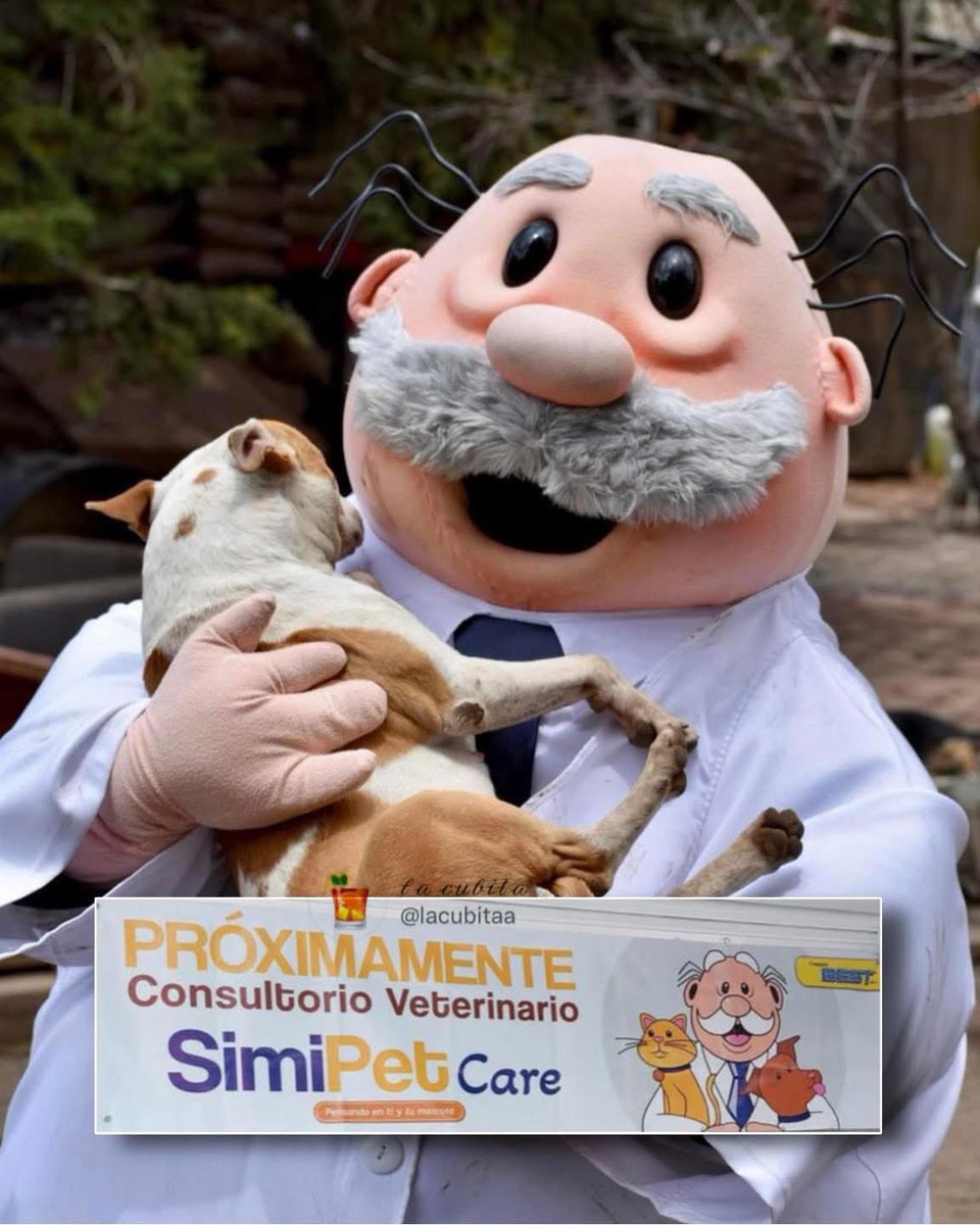 niceangelwhite's tweet photo. ¡Que increíble noticia!

🥹🥹🥹🥹🥹

¡¡¡ES OFICIAL!!!

El Dr. Simi sacará Simi veterinarias y tendrá consultas con bajo costo para todos aquellos que rescatan perritos y mishitos y para quienes menos tienen pero cuidan de sus animalitos. 🥹❤️‍🩹 https://t.co/J5O0WdBRFW