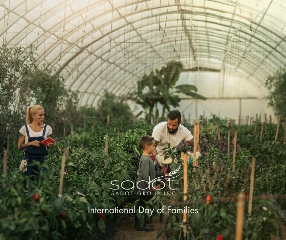 Sadot Group tweet media