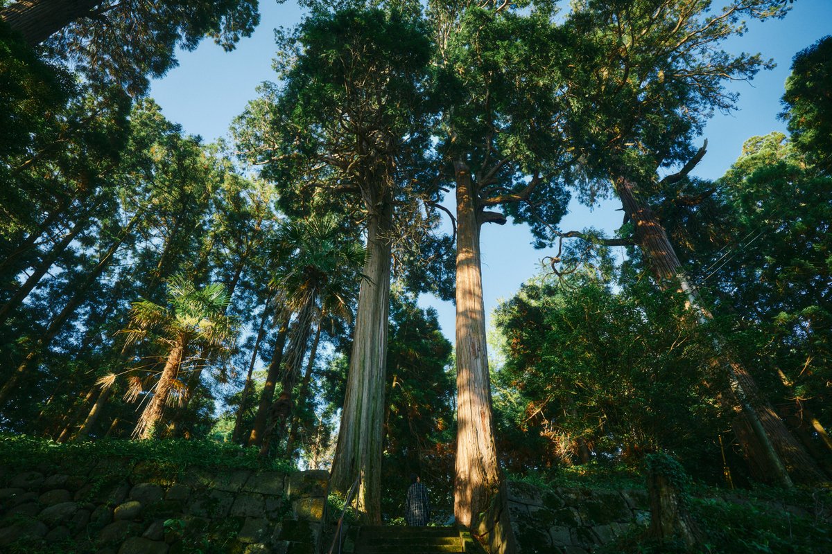 Japanese Countryside