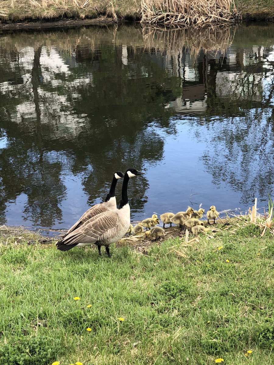 splendorousceliac tweet media