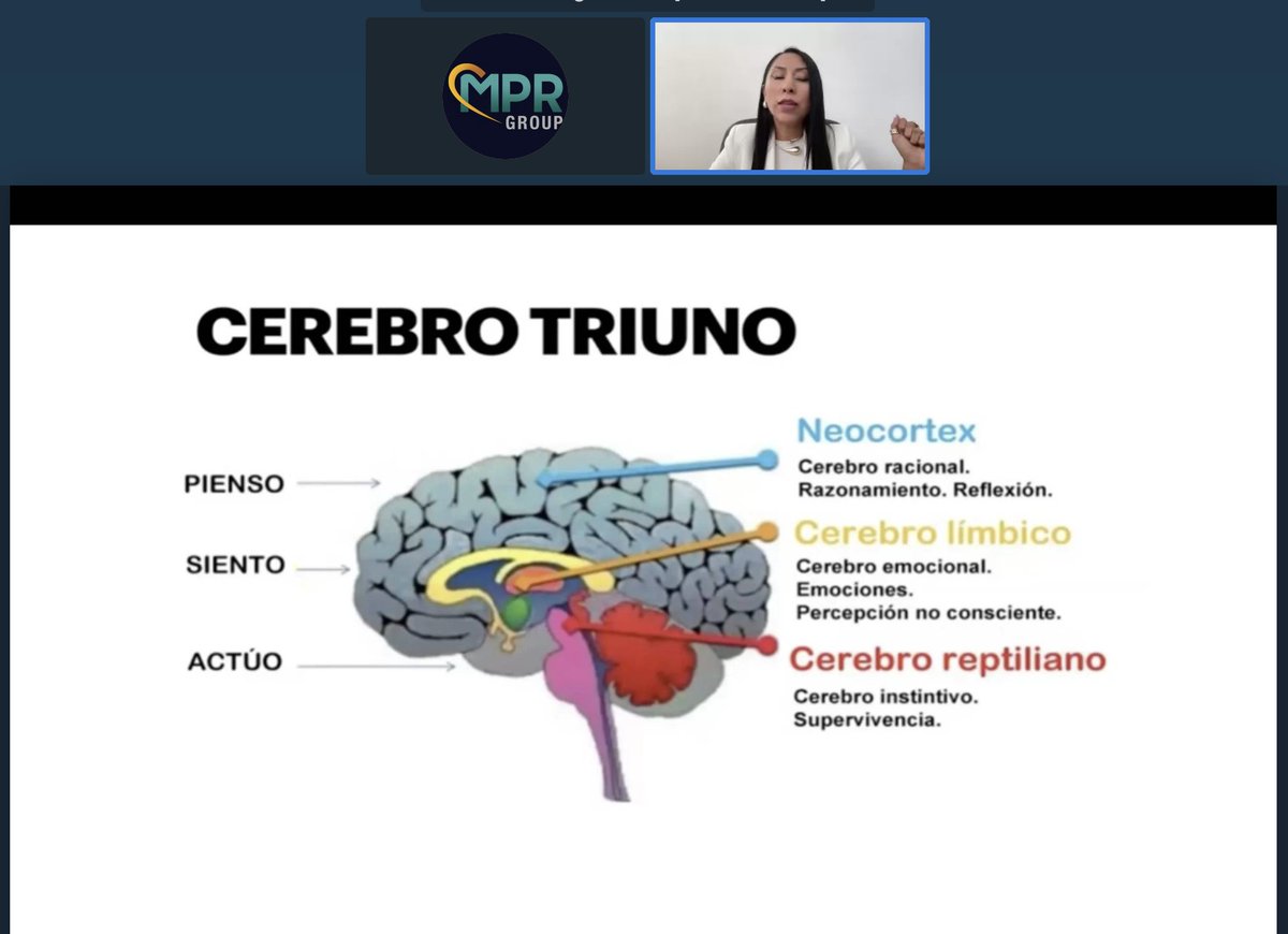 🧠 El cerebro político funciona de la siguiente forma:
🟢 Neocortex: piensa
🟣 Límbico: siente
🔴 Reptiliano: reacciona

Cada uno influye de forma distinta en el voto.

Reclama tu mes gratuito en el siguiente enlace: patreon.com/BIPONTINO/rede…

#BIPONTINO #NeuroMarketing #Compol