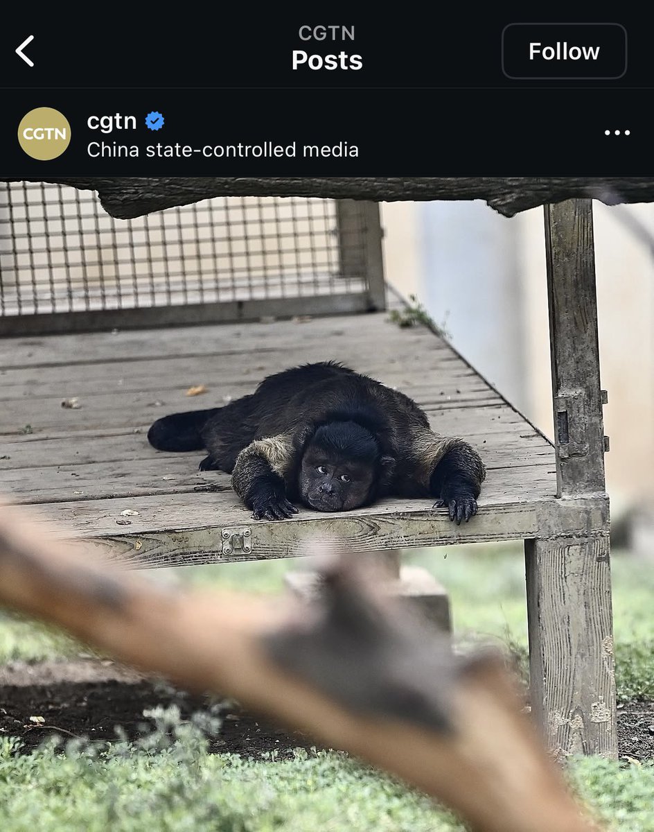 OᗷᒪOᗰOᐯ tweet media