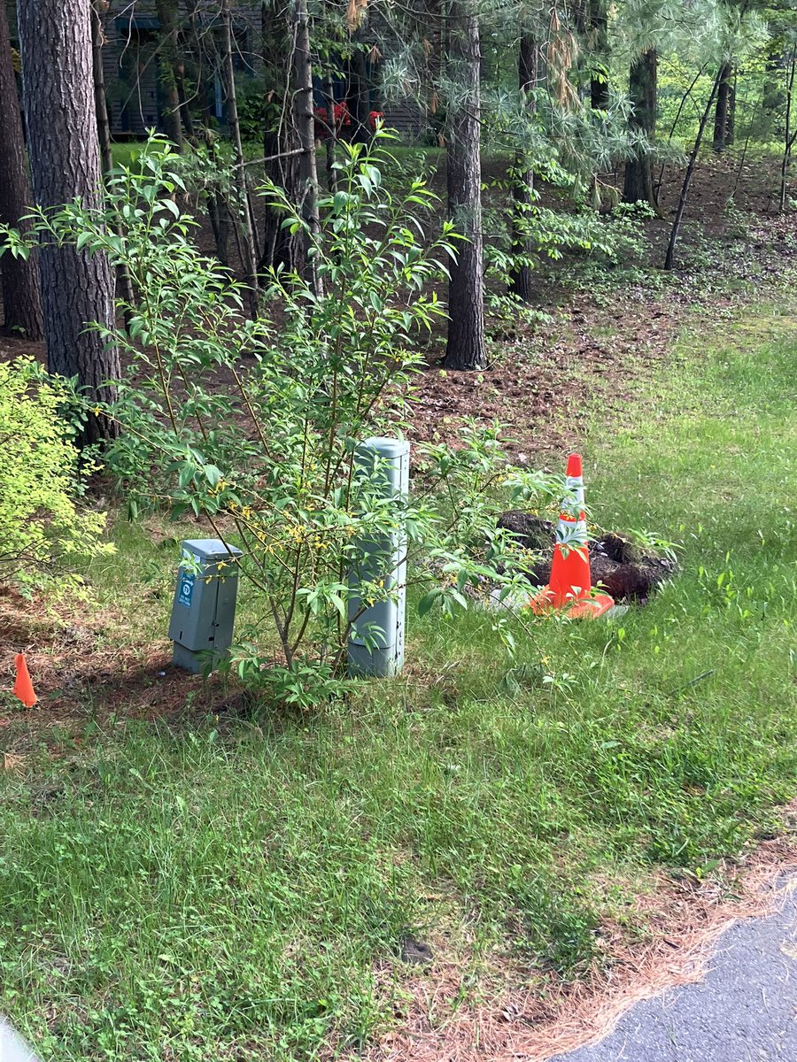 Brenda Delaney tweet media