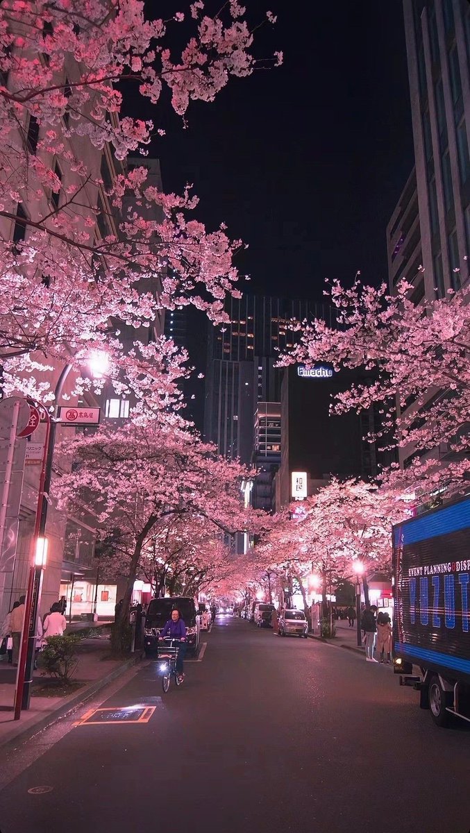 Japan by night. 🌸