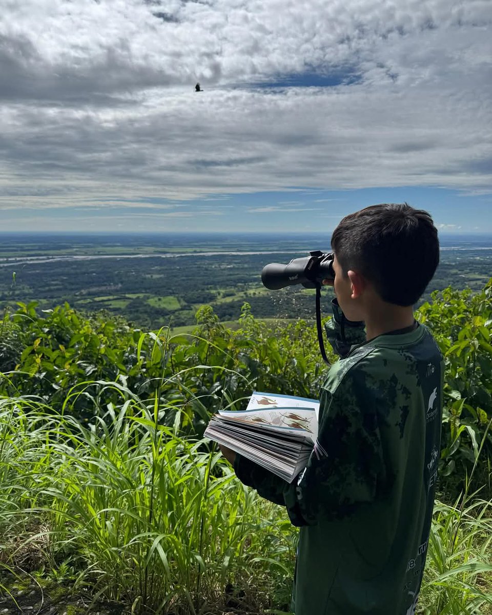avesdelmeta's tweet photo. iAsí se vivió el GLOBAL BIG DAY en el! 🍃 Compartimos con ustedes algunas de las fotos más destacadas envidadas por los pajareros y observadores de aves de los 29 municipios del Meta, quienes participaron con pasion y compromiso en esta gran jornada Mundial por la biodiversidad https://t.co/MvgeDWGRFz