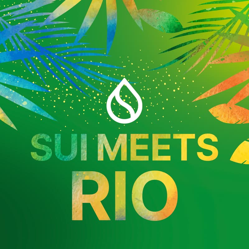 SuiNetworkBr's tweet image. Sui Brasil, é real! 🇧🇷💧
No dia 31 de maio, acontece o primeiro encontro oficial da comunidade Sui na América Latina, e é no Rio de Janeiro.
Vamos falar sobre a Sui, mostrar o que tá rolando no ecossistema e celebrar juntos esse momento histórico.
Link: lu.ma/SuiMeetsRio