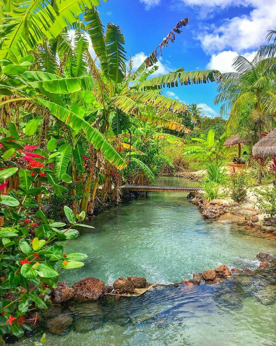 Ministério do Turismo tweet media