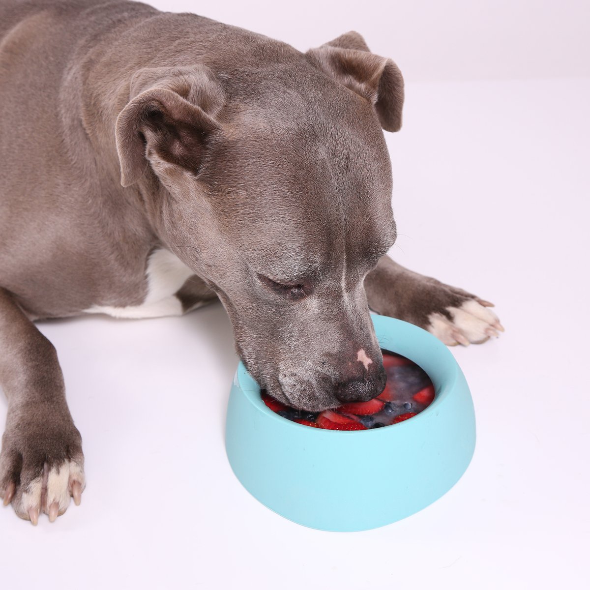 Tastes like Summer😋: As temperatures rise, follow these directions for a cool and tasty, hydrating pup treat. Bonus! It's also an enrichment activity that can prevent boredom or even help reduce anxiety in a stressful situation. 

1. Gather high-value, dog-friendly treats like