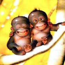 Kraig 🇰🇷 tweet media