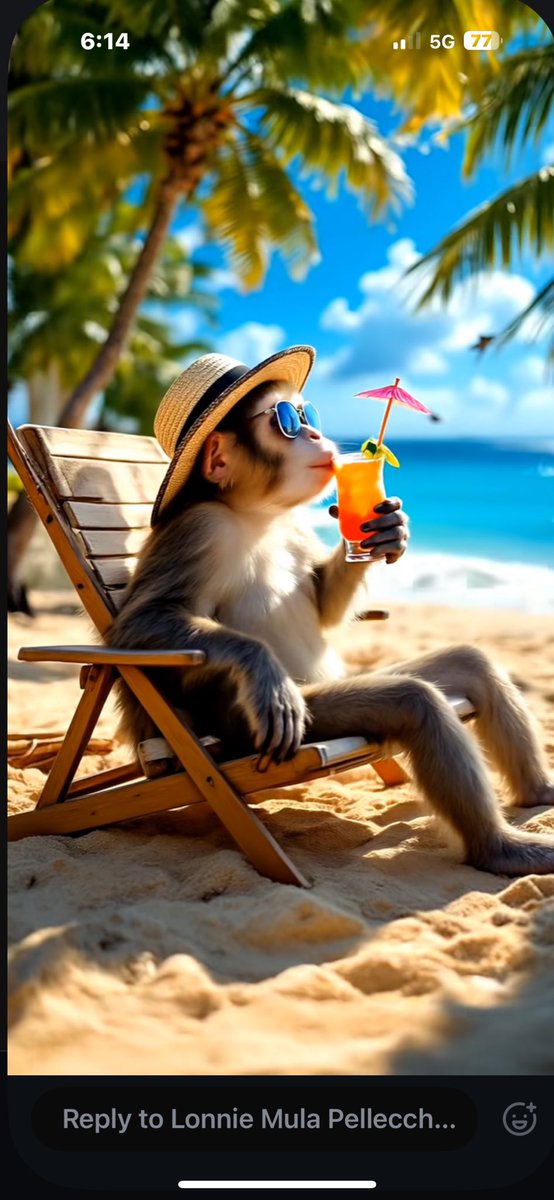 BOB PELLECCHIA tweet media