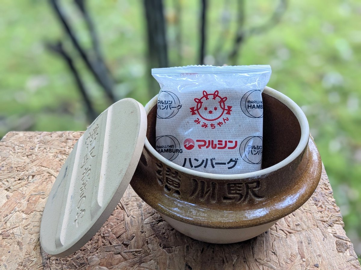 ㋙氏 /ビリヤニ贋作 (@koji462mesi) / Posts / X